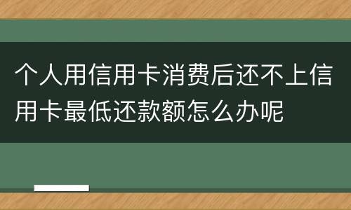 个人用信用卡消费后还不上信用卡最低还款额怎么办呢