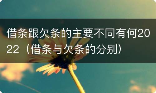 借条跟欠条的主要不同有何2022（借条与欠条的分别）