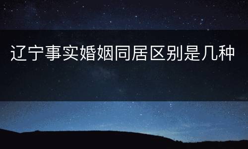 辽宁事实婚姻同居区别是几种
