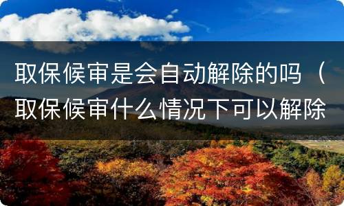 取保候审是会自动解除的吗（取保候审什么情况下可以解除）