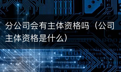 分公司会有主体资格吗（公司主体资格是什么）