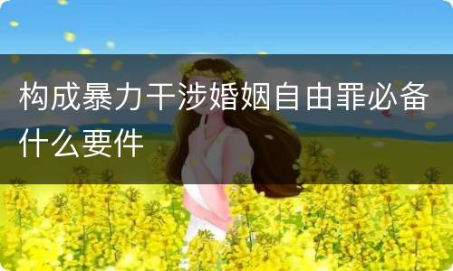 构成暴力干涉婚姻自由罪必备什么要件