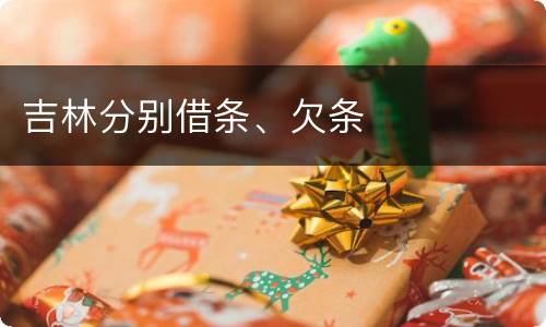 吉林分别借条、欠条