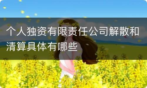 个人独资有限责任公司解散和清算具体有哪些