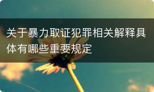 关于暴力取证犯罪相关解释具体有哪些重要规定