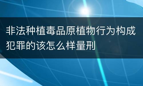 非法种植毒品原植物行为构成犯罪的该怎么样量刑