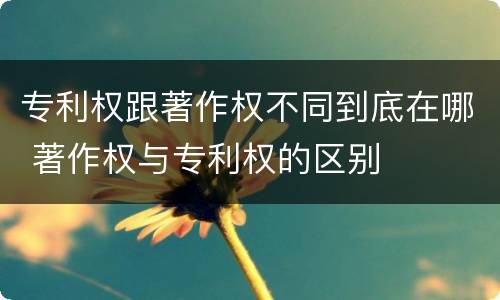 专利权跟著作权不同到底在哪 著作权与专利权的区别