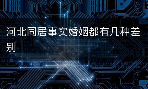 河北同居事实婚姻都有几种差别