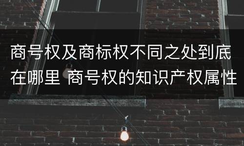商号权及商标权不同之处到底在哪里 商号权的知识产权属性