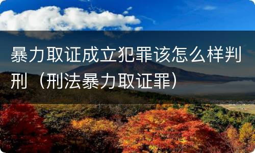 暴力取证成立犯罪该怎么样判刑（刑法暴力取证罪）