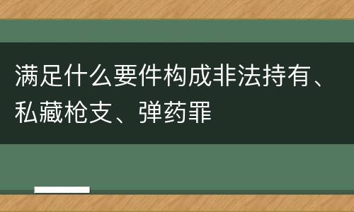 满足什么要件构成非法持有、私藏枪支、弹药罪