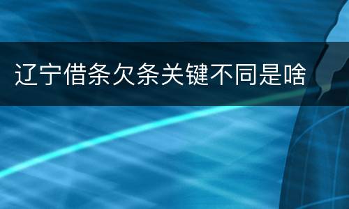 辽宁借条欠条关键不同是啥