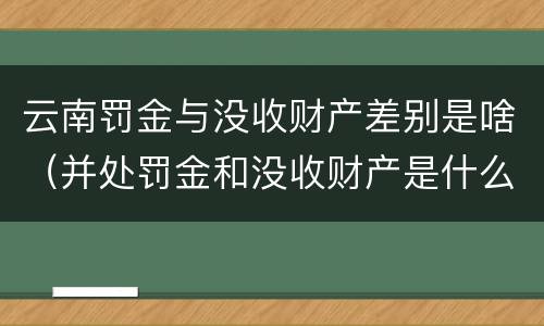 云南罚金与没收财产差别是啥（并处罚金和没收财产是什么意思）
