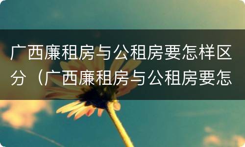 广西廉租房与公租房要怎样区分（广西廉租房与公租房要怎样区分呢）