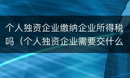 个人独资企业缴纳企业所得税吗（个人独资企业需要交什么税）