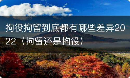 拘役拘留到底都有哪些差异2022（拘留还是拘役）
