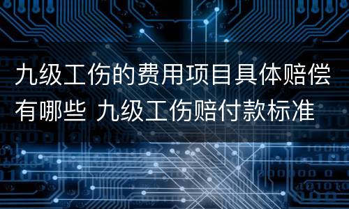 九级工伤的费用项目具体赔偿有哪些 九级工伤赔付款标准