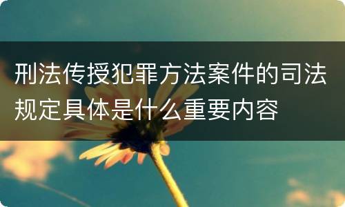 刑法传授犯罪方法案件的司法规定具体是什么重要内容