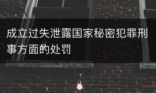 成立过失泄露国家秘密犯罪刑事方面的处罚