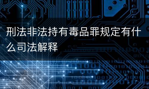 刑法非法持有毒品罪规定有什么司法解释