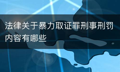法律关于暴力取证罪刑事刑罚内容有哪些