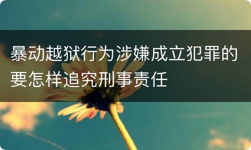 暴动越狱行为涉嫌成立犯罪的要怎样追究刑事责任