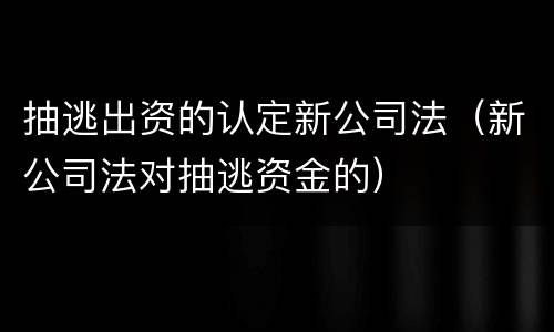 抽逃出资的认定新公司法（新公司法对抽逃资金的）