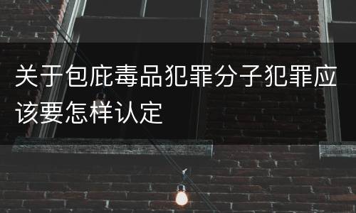 关于包庇毒品犯罪分子犯罪应该要怎样认定