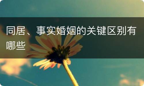 同居、事实婚姻的关键区别有哪些