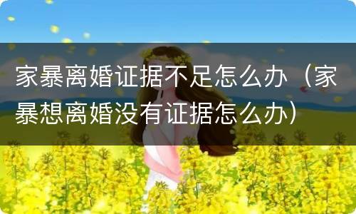 家暴离婚证据不足怎么办（家暴想离婚没有证据怎么办）