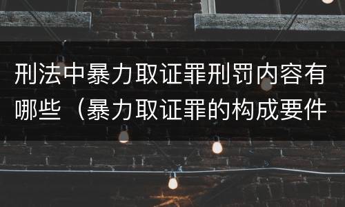 刑法中暴力取证罪刑罚内容有哪些（暴力取证罪的构成要件）