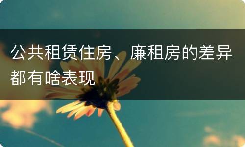 公共租赁住房、廉租房的差异都有啥表现