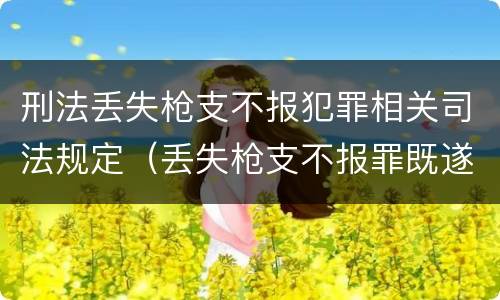 刑法丢失枪支不报犯罪相关司法规定（丢失枪支不报罪既遂条件）
