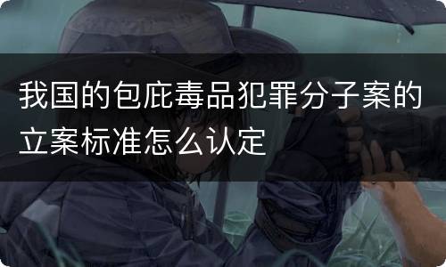 我国的包庇毒品犯罪分子案的立案标准怎么认定