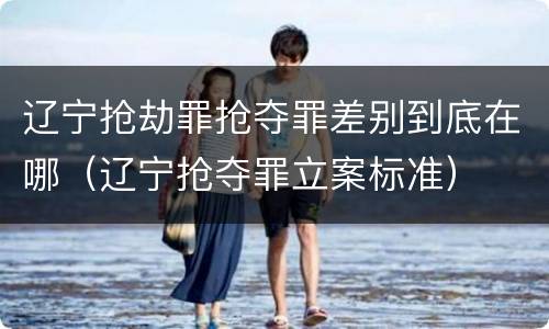 辽宁抢劫罪抢夺罪差别到底在哪（辽宁抢夺罪立案标准）