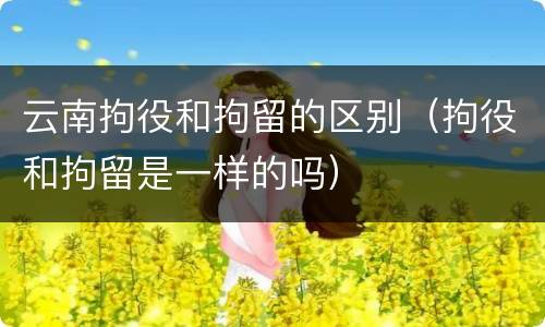 云南拘役和拘留的区别（拘役和拘留是一样的吗）