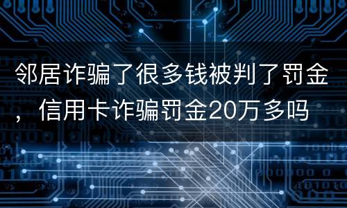 邻居诈骗了很多钱被判了罚金，信用卡诈骗罚金20万多吗