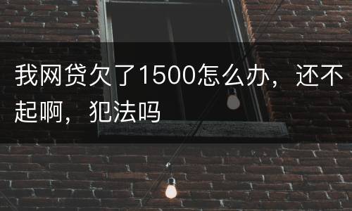 我网贷欠了1500怎么办，还不起啊，犯法吗