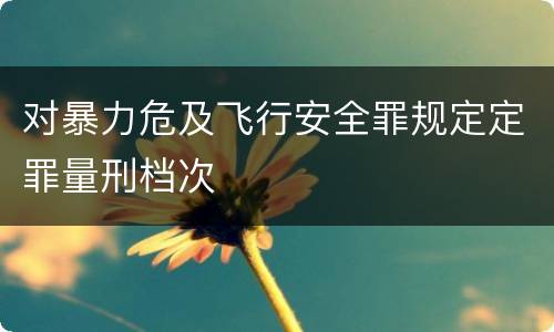 对暴力危及飞行安全罪规定定罪量刑档次