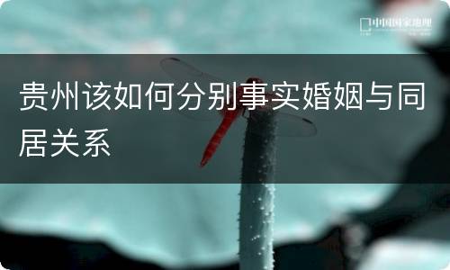 贵州该如何分别事实婚姻与同居关系