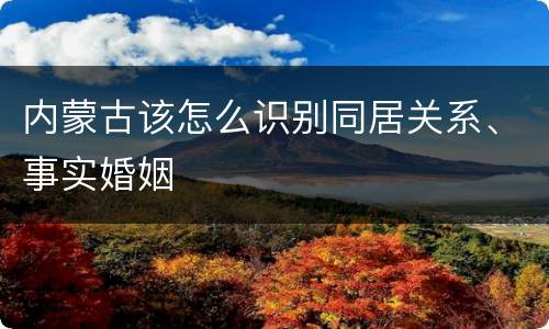 内蒙古该怎么识别同居关系、事实婚姻