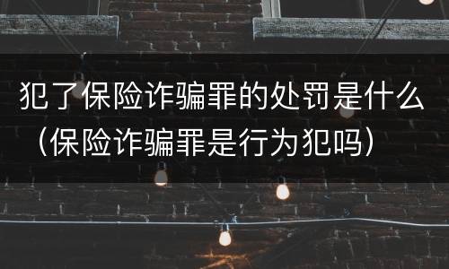 犯了保险诈骗罪的处罚是什么（保险诈骗罪是行为犯吗）
