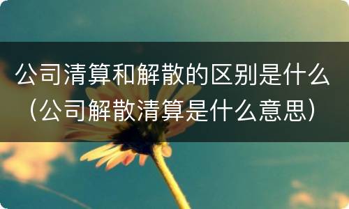 公司清算和解散的区别是什么（公司解散清算是什么意思）