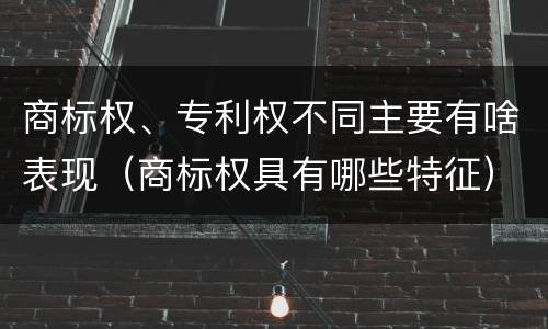 商标权、专利权不同主要有啥表现（商标权具有哪些特征）