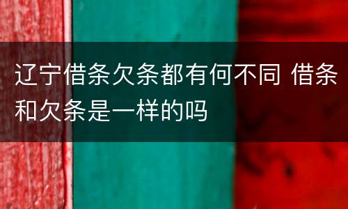 辽宁借条欠条都有何不同 借条和欠条是一样的吗