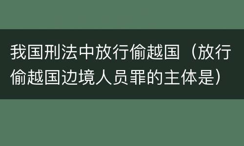 我国刑法中放行偷越国（放行偷越国边境人员罪的主体是）