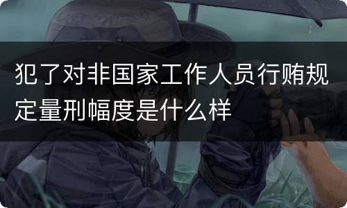 犯了对非国家工作人员行贿规定量刑幅度是什么样