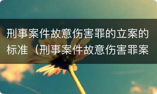 刑事案件故意伤害罪的立案的标准（刑事案件故意伤害罪案由）