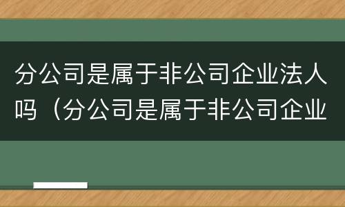 分公司是属于非公司企业法人吗（分公司是属于非公司企业法人吗）