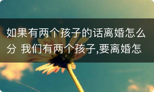 如果有两个孩子的话离婚怎么分 我们有两个孩子,要离婚怎么个离法